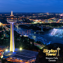 Skylon Tower Banner ad Attractions 2019 - Welcome