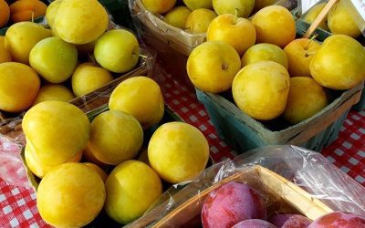 Essential Farmers Markets in Buffalo Niagara