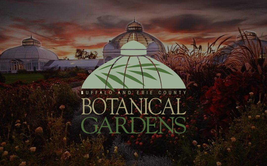 October Highlights at the Botanical Gardens
