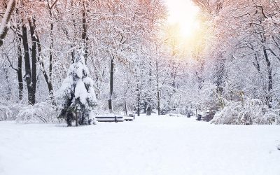 A Buffalo Niagara Snow Day