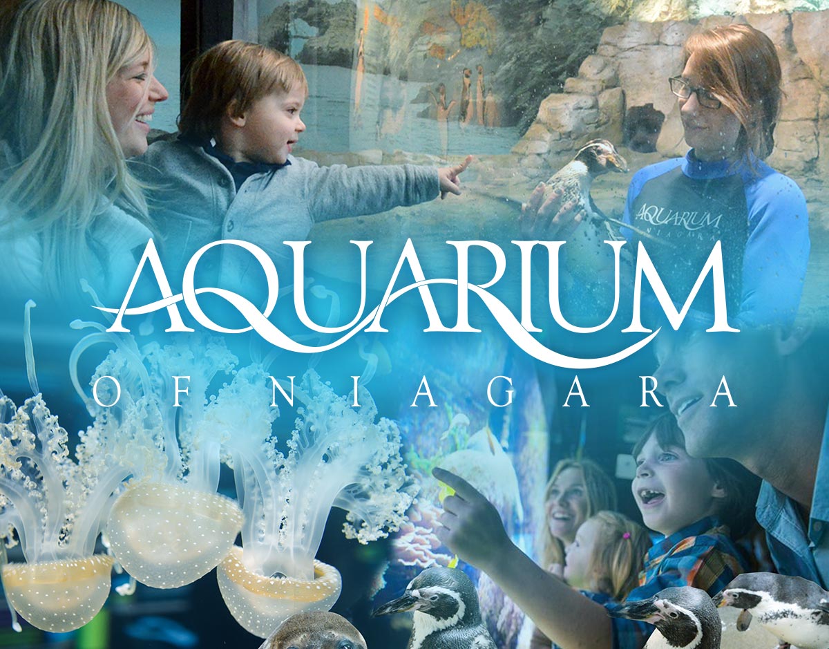 Aquarium of Niagara: Upcoming Events