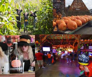 Great Pumpkin Farm, Clarence New York