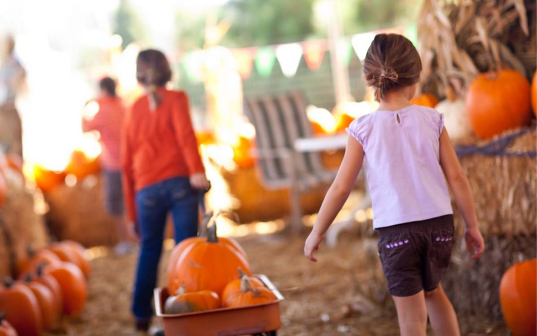 Beyond the Couch: Outdoor Fall Fun Ideas