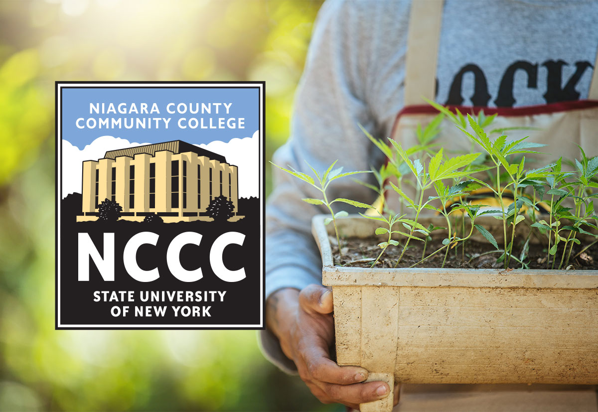 Cannabis Courses at Niagara County Community College