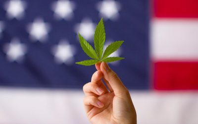 A Look at Cannabis Legalization in New York State