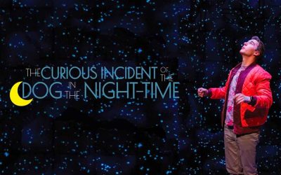 Theater Review: The Curious Incident of the Dog in the Night-Time @ Shea’s 710 Theatre