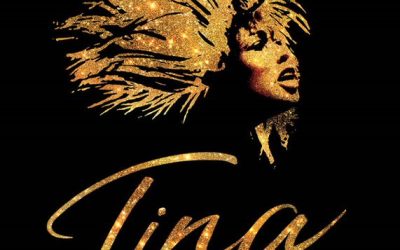 Theater Review: Tina: The Tina Turner Musical