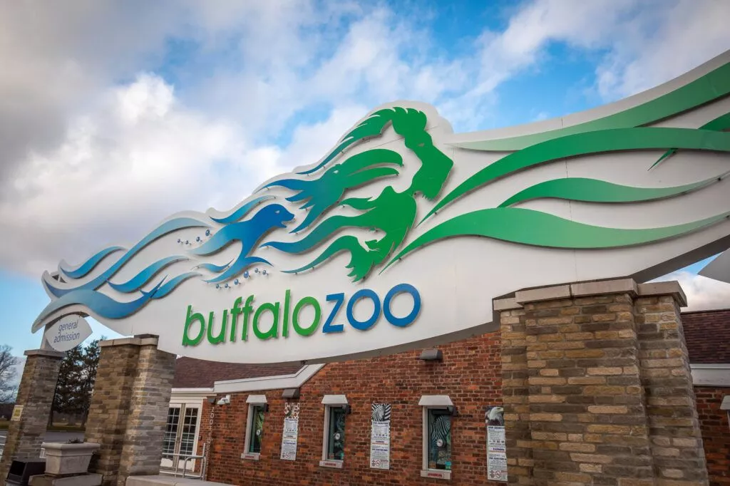 The Buffalo Zoo - Welcome 716